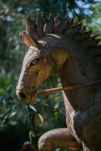 WhatsApp Image 2023-09-01 at 18.17.40